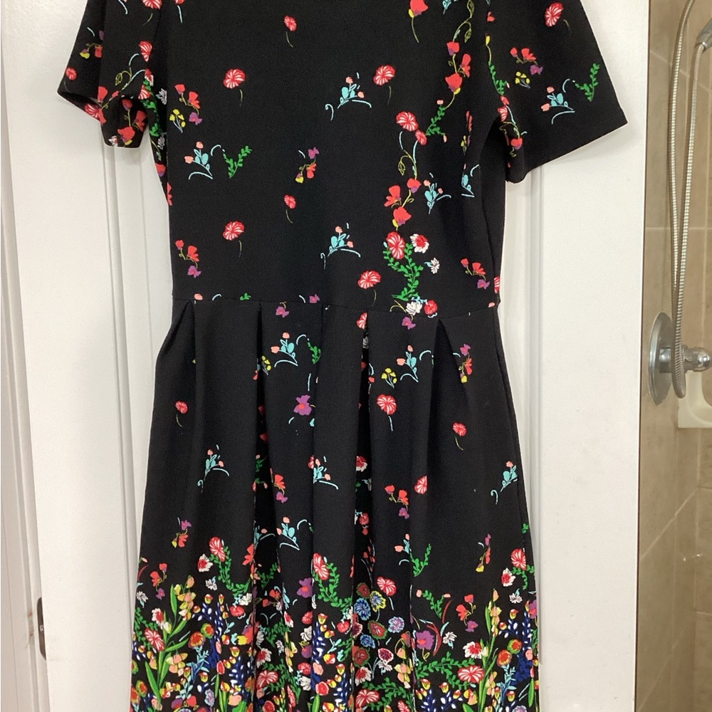 LuLaRoe Black Dress with Red and Green Floral Design